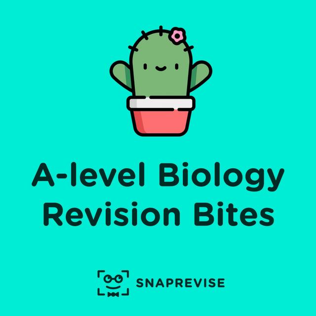 Prokaryotic and Viral Replication & Acting - A level Biology - podcast episode cover