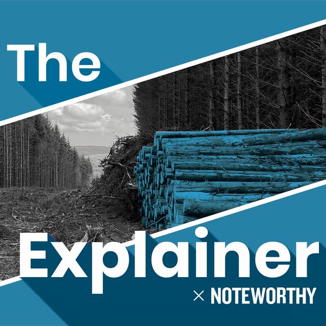 By Noteworthy: Why are our peatlands still being exploited? - podcast episode cover