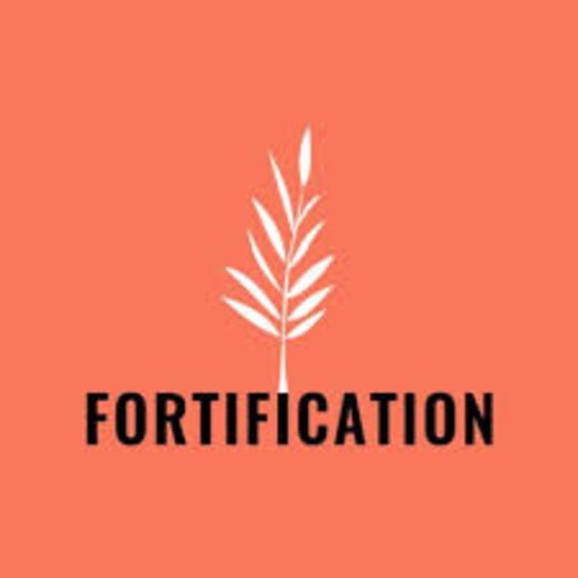 Guest Podcast: Fortification - podcast episode cover