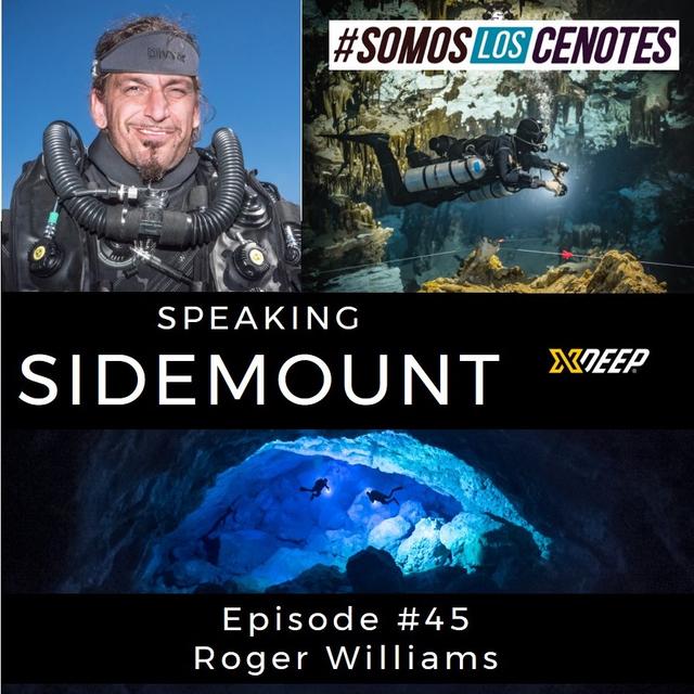 E045 - Roger Williams Interview - podcast episode cover