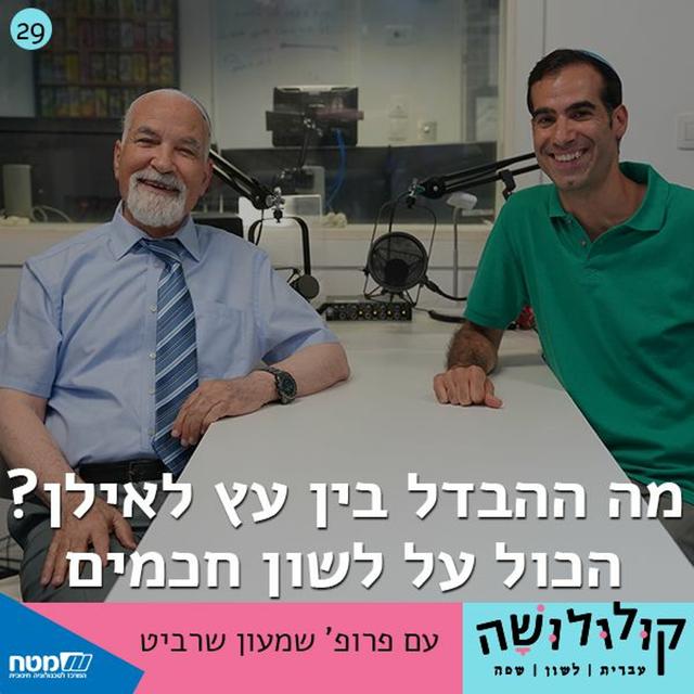 פרק 29: מה ההבדל בין עץ לאילן? הכול על לשון חכמים / פרופ' שמעון שרביט - podcast episode cover