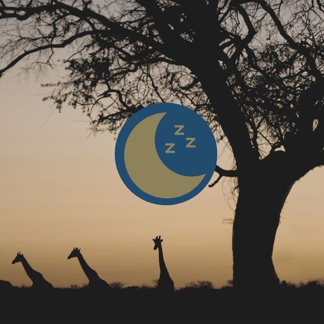 Under A Botswana Sky : Sleep Story - podcast episode cover