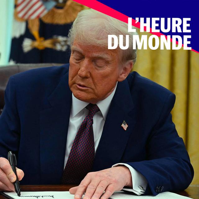Droits de douane : tout comprendre aux effets de la politique de Donald Trump - podcast episode cover