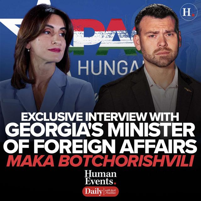 EXCLUSIVE INTERVIEW w/ Maka Botchorishvili, the Georgia Minister of Foreign Affairs - podcast episode cover