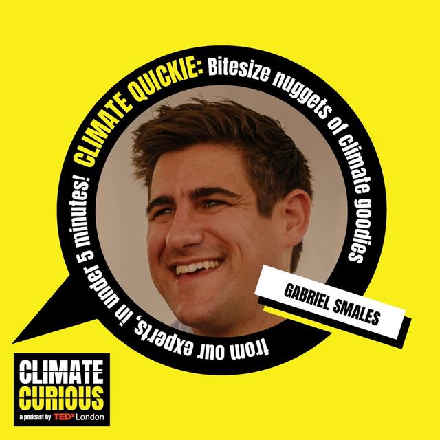 Climate Quickie: Why NATURE is 2024’s biggest breakout popstar - podcast episode cover