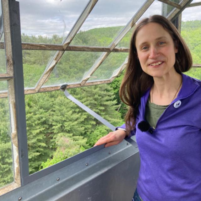 Fire Tower Challenge! - podcast episode cover
