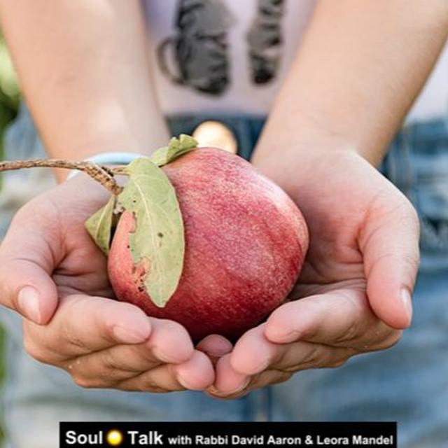 Rosh HaShannah A Day Of Judgement, But Whose Judging? - Soul Talk - podcast episode cover