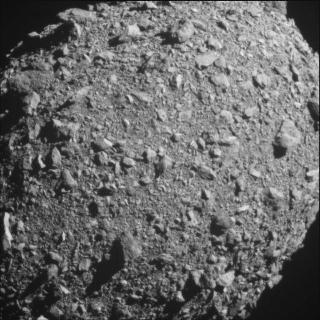 Cosmic Queries – Asteroid Hunters with Marina Brozovic - podcast episode cover