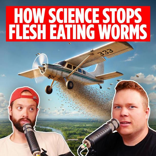 Worm Wall | The United States Is Building a Wall… Of Worms - podcast episode cover