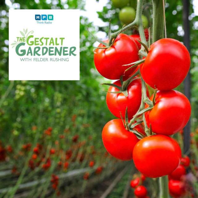 The Gestalt Gardener | Tomatoes & Potatoes - podcast episode cover