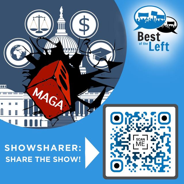 #1691 Democracy Emergency, Constitutional Crisis, Democratic Backsliding, Failing Guardrails - podcast episode cover
