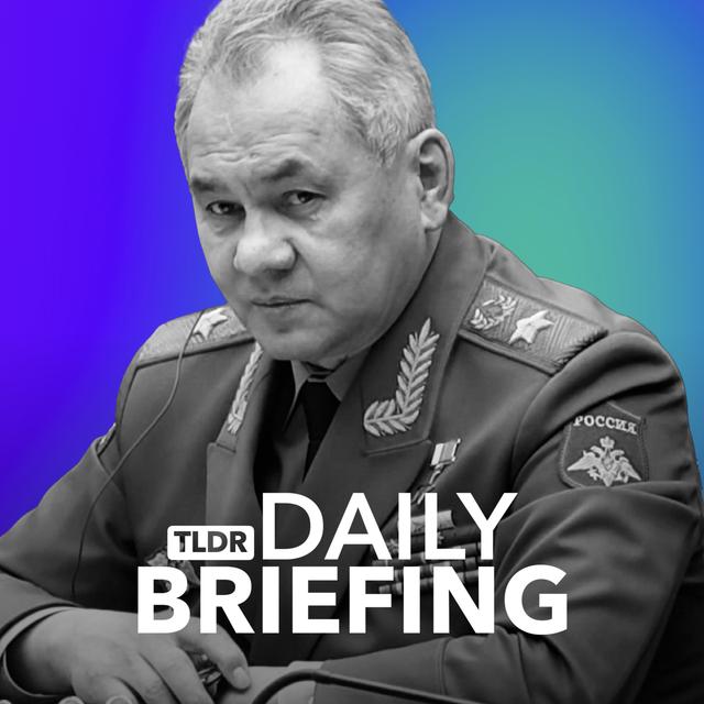 Putin Sacks Shoigu: What Now? - podcast episode cover