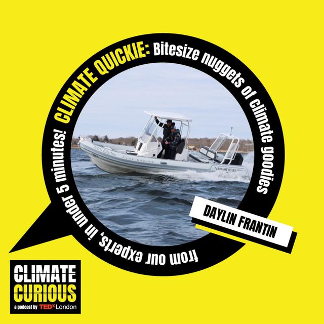 How electric boats are turning the tide on polluted waterways - podcast episode cover
