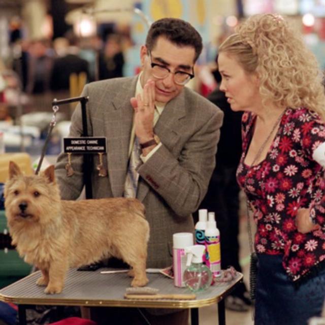 Best in Show (2000) - podcast episode cover