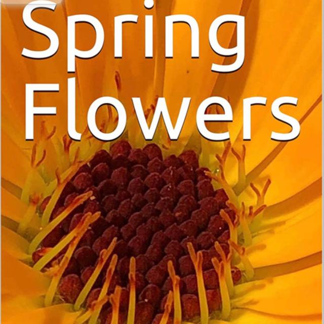 Spring Flowers Volume 5 Wild by Daniel Lucas - podcast episode cover