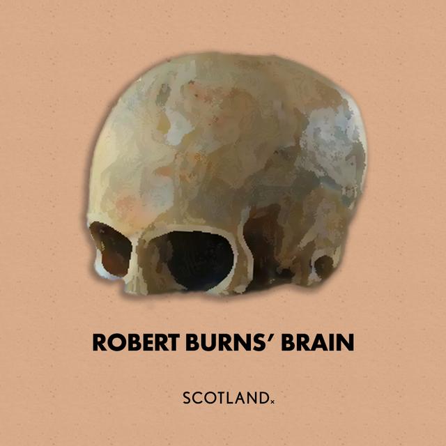 Robert Burns’ Brain - Proving Phrenology With The Bard’s Bones - podcast episode cover