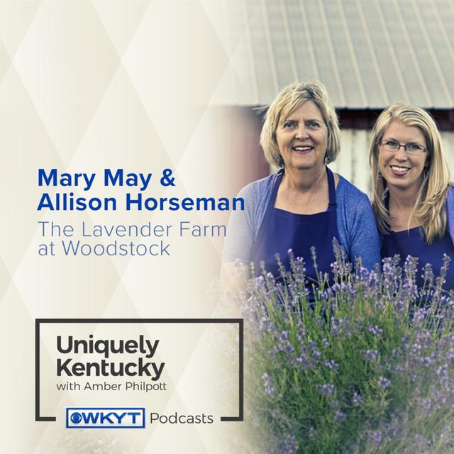 Uniquely Kentucky with Amber Philpott | The Lavender Farm at Woodstock - podcast episode cover