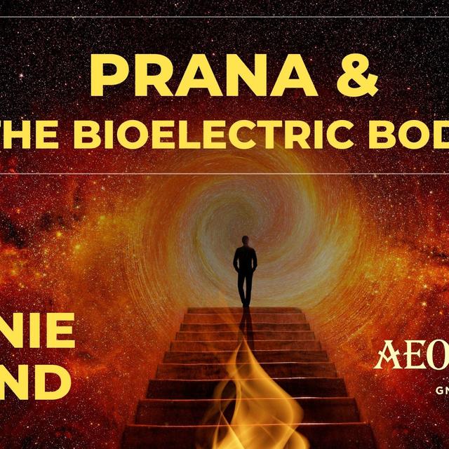 Annie Bond on Prana and the Bioelectric Body - podcast episode cover
