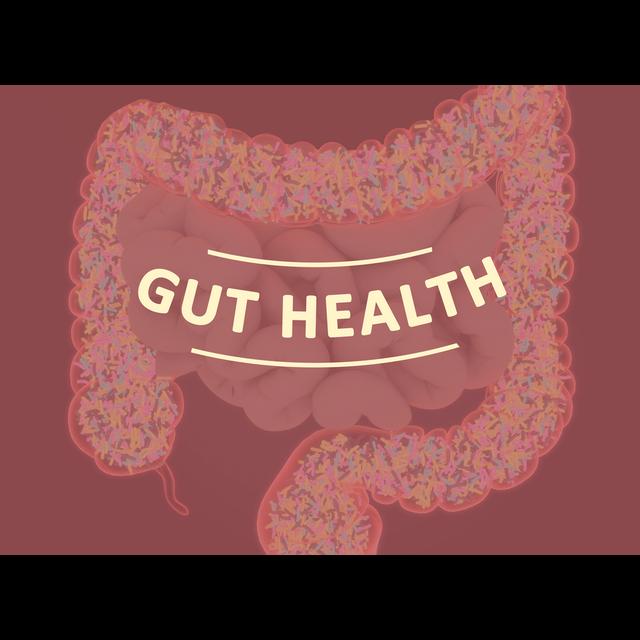 Personalized Gut Health Solutions (Updated - Sunny Jain not with company) - podcast episode cover