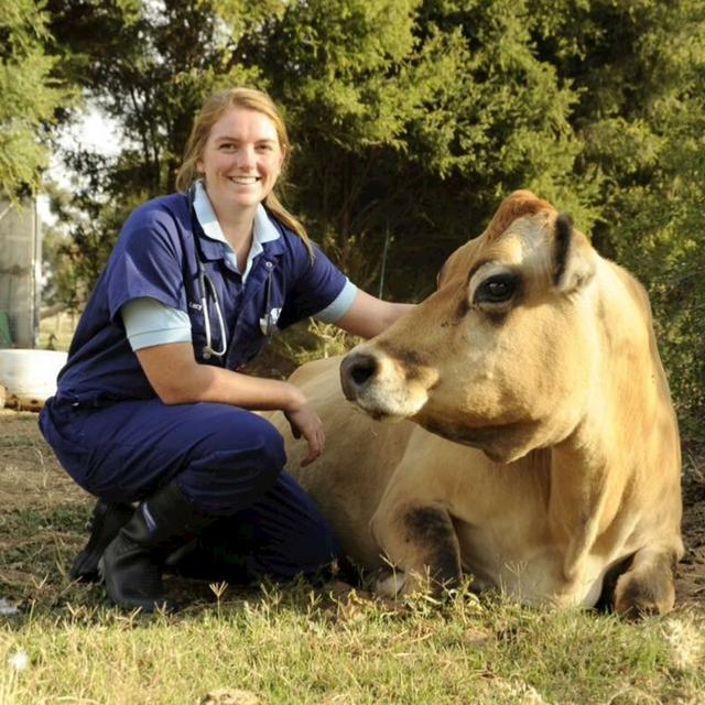 "Cows Create Careers" and the opportunity to travel the world and create your own pathway with Lucy Collins - podcast episode cover