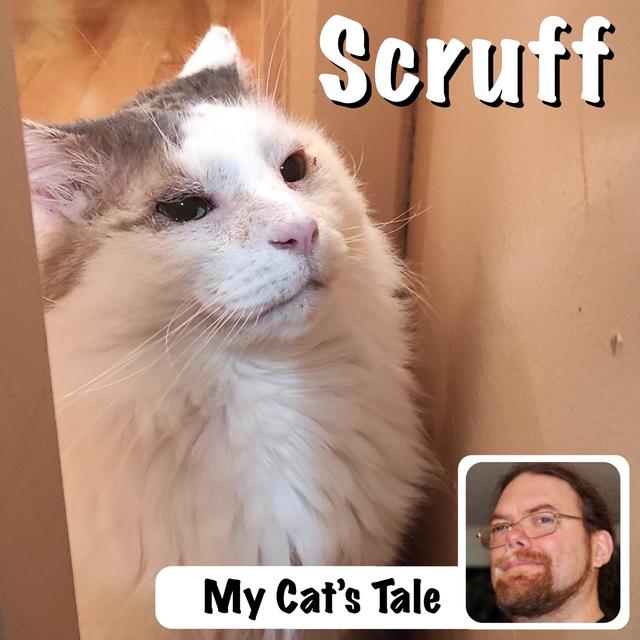 My Cat’s Tale: Scruff - podcast episode cover