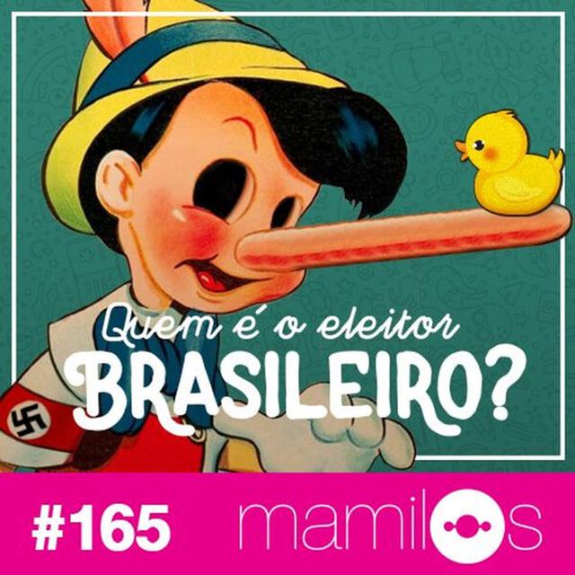 #165 - Quem É o Eleitor Brasileiro? - podcast episode cover