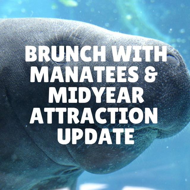 Brunch with Manatees & a Midyear attraction update - podcast episode cover