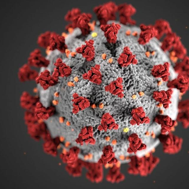 Coronavirus Life: Will Things Be the Same Again? - podcast episode cover