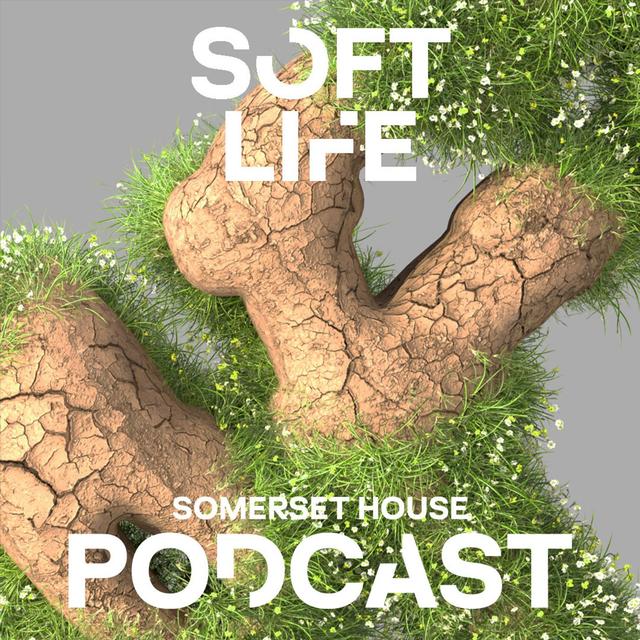 Soft Life: The Earth - podcast episode cover