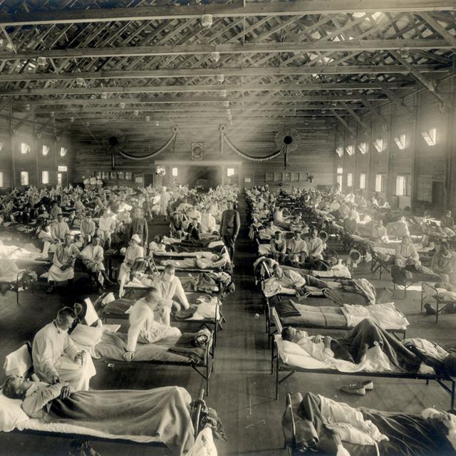 Past Pandemics: What Can We Learn That May Help Us Today? - podcast episode cover