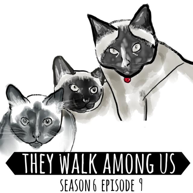 Devil’s Disciple Serial Killer / Patrick MacKay - Part 1 - podcast episode cover
