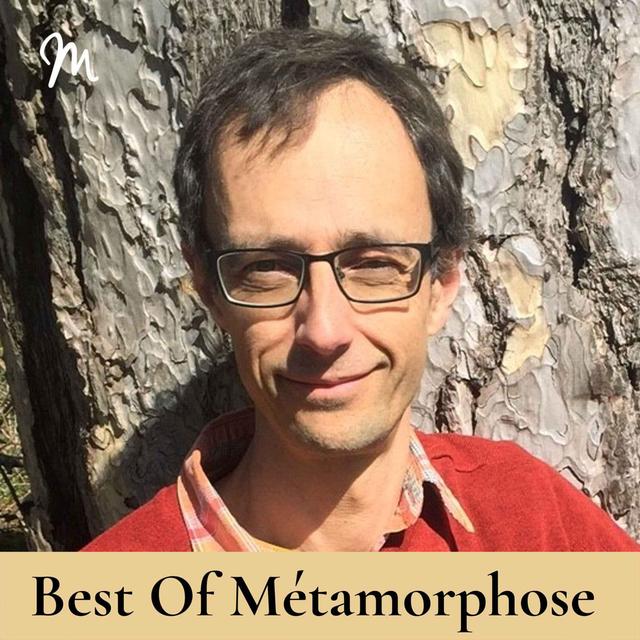 Ce que les arbres nous enseignent avec Jean-Marie Defossez [rediffusion] - podcast episode cover