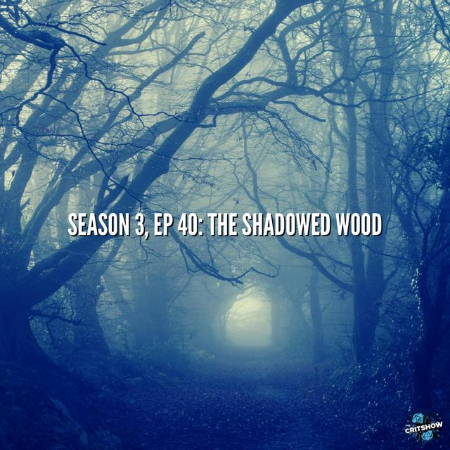 The Shadowed Wood (S3, E40) - podcast episode cover