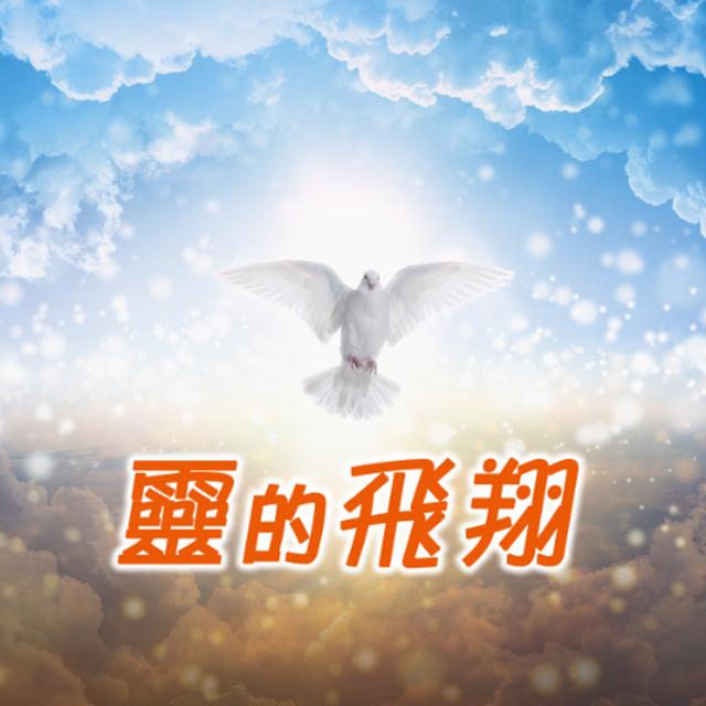 靈的飛翔：真有不共戴天的仇恨嗎？ - podcast episode cover
