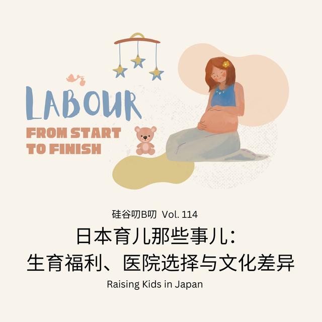 Vol. 114 日本育儿那些事儿：生育福利、医院选择与文化差异 - podcast episode cover