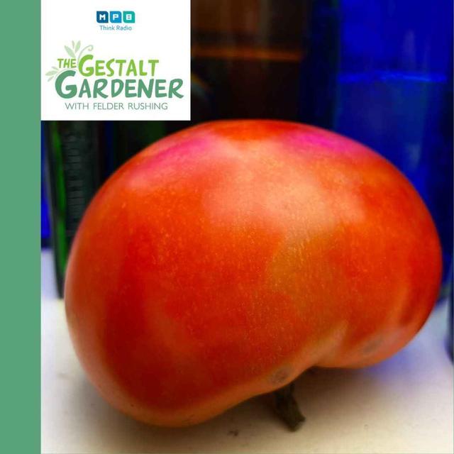 The Gestalt Gardener | Yakkin' from England - podcast episode cover