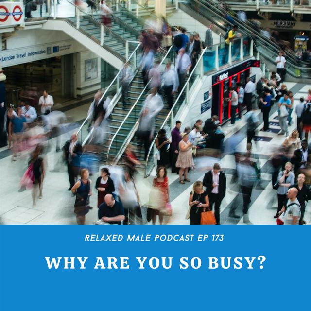 Why Are You So Busy? - podcast episode cover