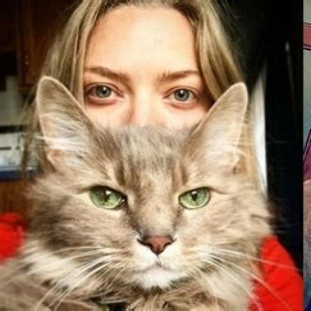 The Big Meow - podcast episode cover