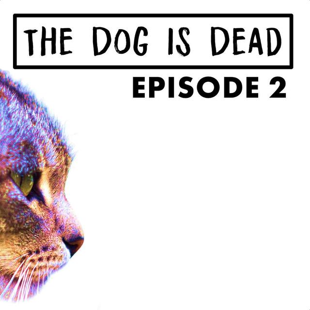 S1E2 - The Prodigal Cat - podcast episode cover