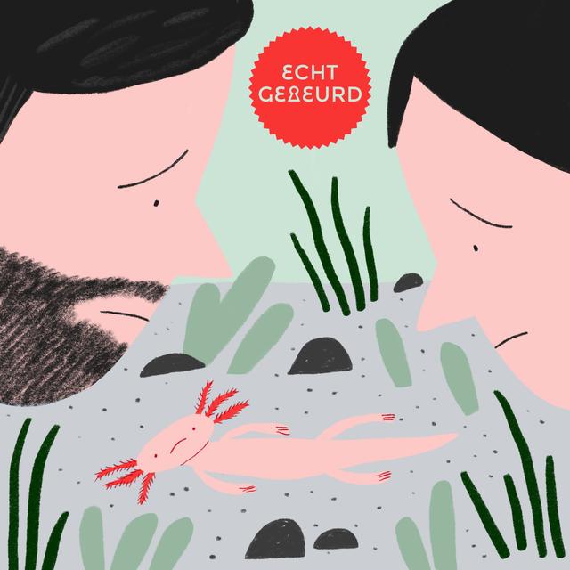 Afl. 458 Heimelijke liefde: Lotte Kok - podcast episode cover