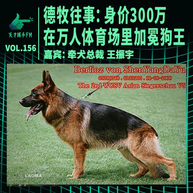德牧往事：身价300万，在万人体育场里加冕狗王 | 天才职业156 - podcast episode cover