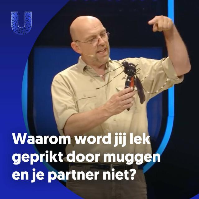 235. Waarom word jij helemaal lek geprikt door muggen en je partner niet? - podcast episode cover
