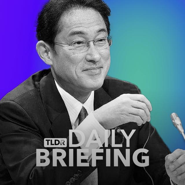 What the Hell is Going on With Japanese Stocks? - podcast episode cover