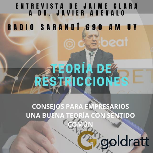 Entrevista Radio Sarandí 690 UY - Consejos para Empresarios - Teoría de Restricciones - podcast episode cover