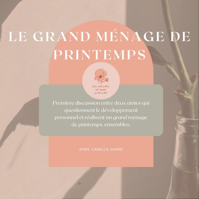 Le grand ménage de Printemps : première discussion sur le développement personnel avec Camille - podcast episode cover