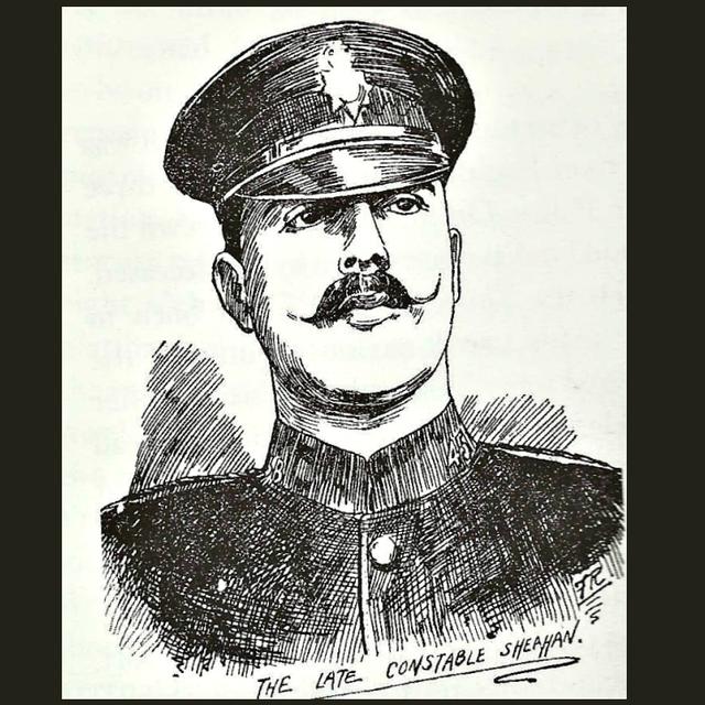 From 'Peelers' to Gardaí: How the Dublin Metropolitan Police and An Garda Síochána merged (with Paul Maher) - podcast episode cover