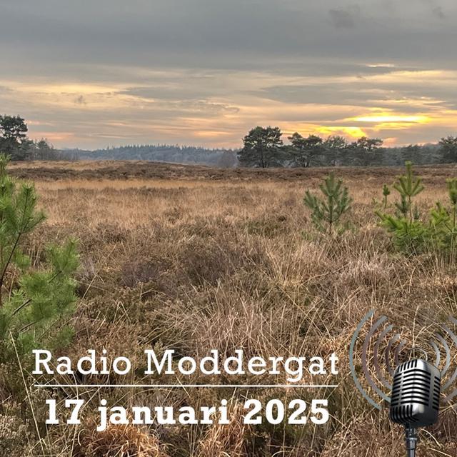 Radio Moddergat #162 - 2025-01-17 - podcast episode cover