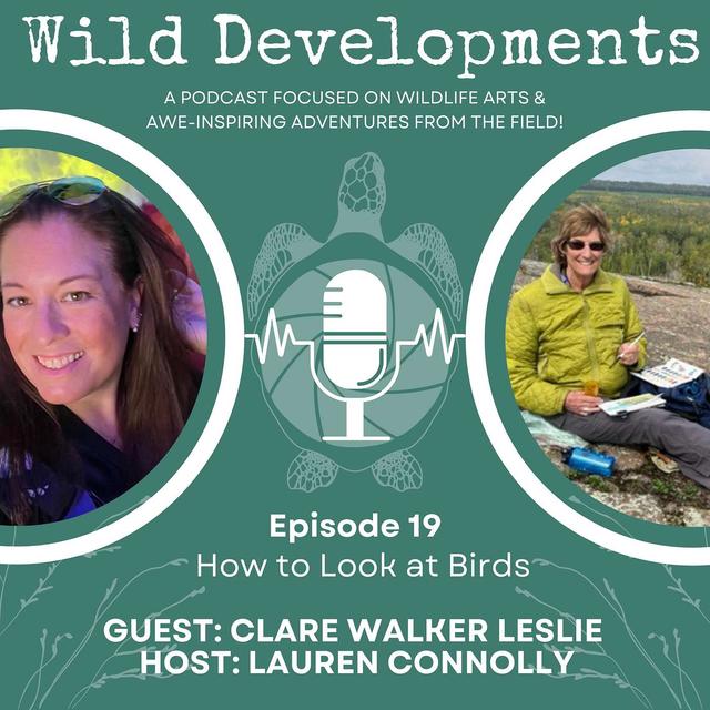 How to Look at Birds - podcast episode cover