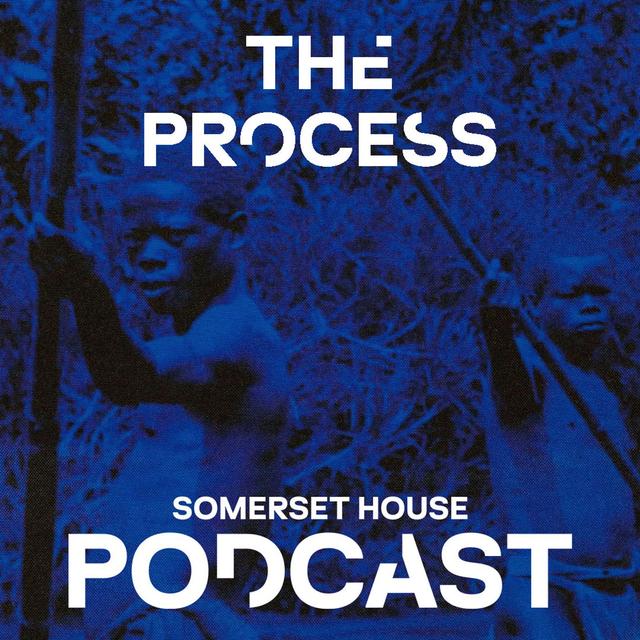 The Process: Language of Resistance - podcast episode cover