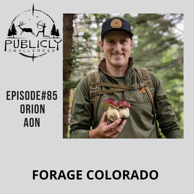 EPISODE#85-ORION AON - podcast episode cover